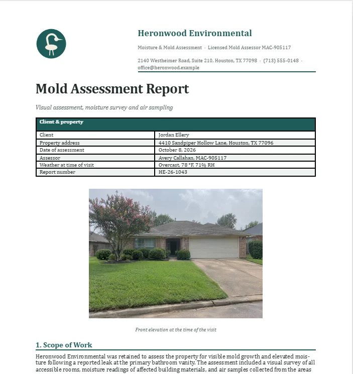 The business’s own Word report, a mold assessment with its logo, client table and front-elevation photo.