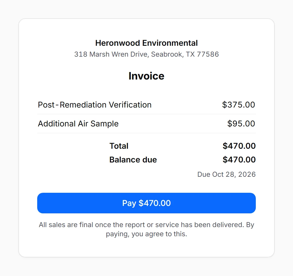 The client’s invoice page: two line items, the balance due and a Pay button.